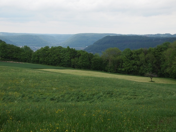Bild Nr. 12